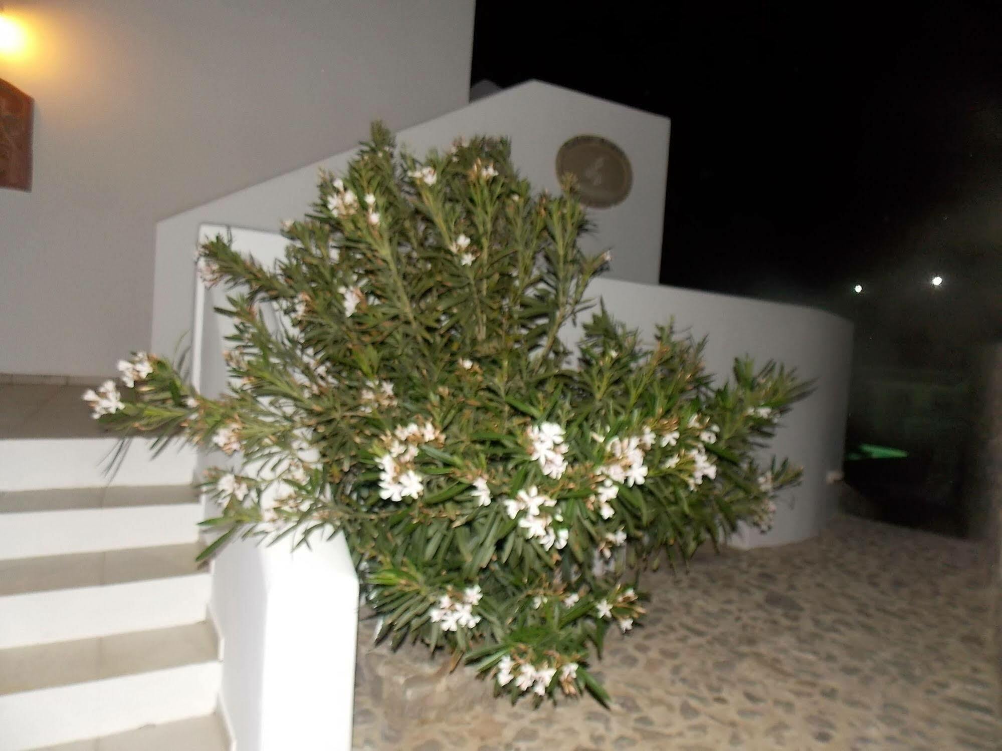Lavarock Santorini Perissa  Exteriör bild